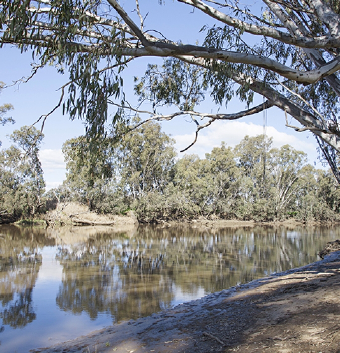 News - Ballarat Aquatic & Lifestyle Centre